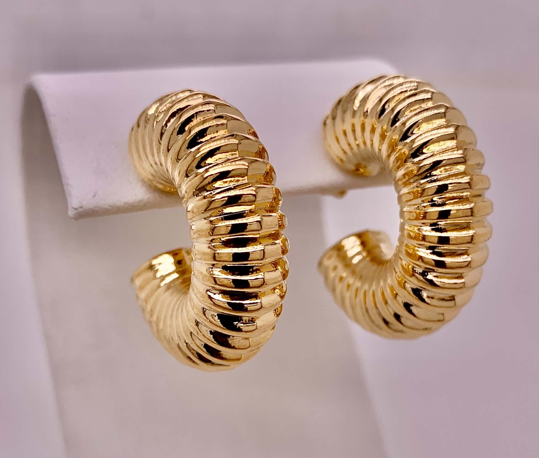 Gold Filled Hoop Earrings