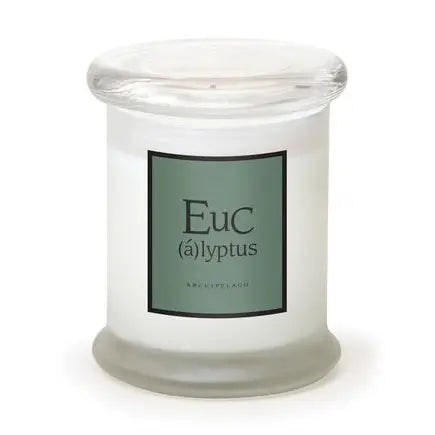 Archipelago Eucalyptus Frosted Jar Candle