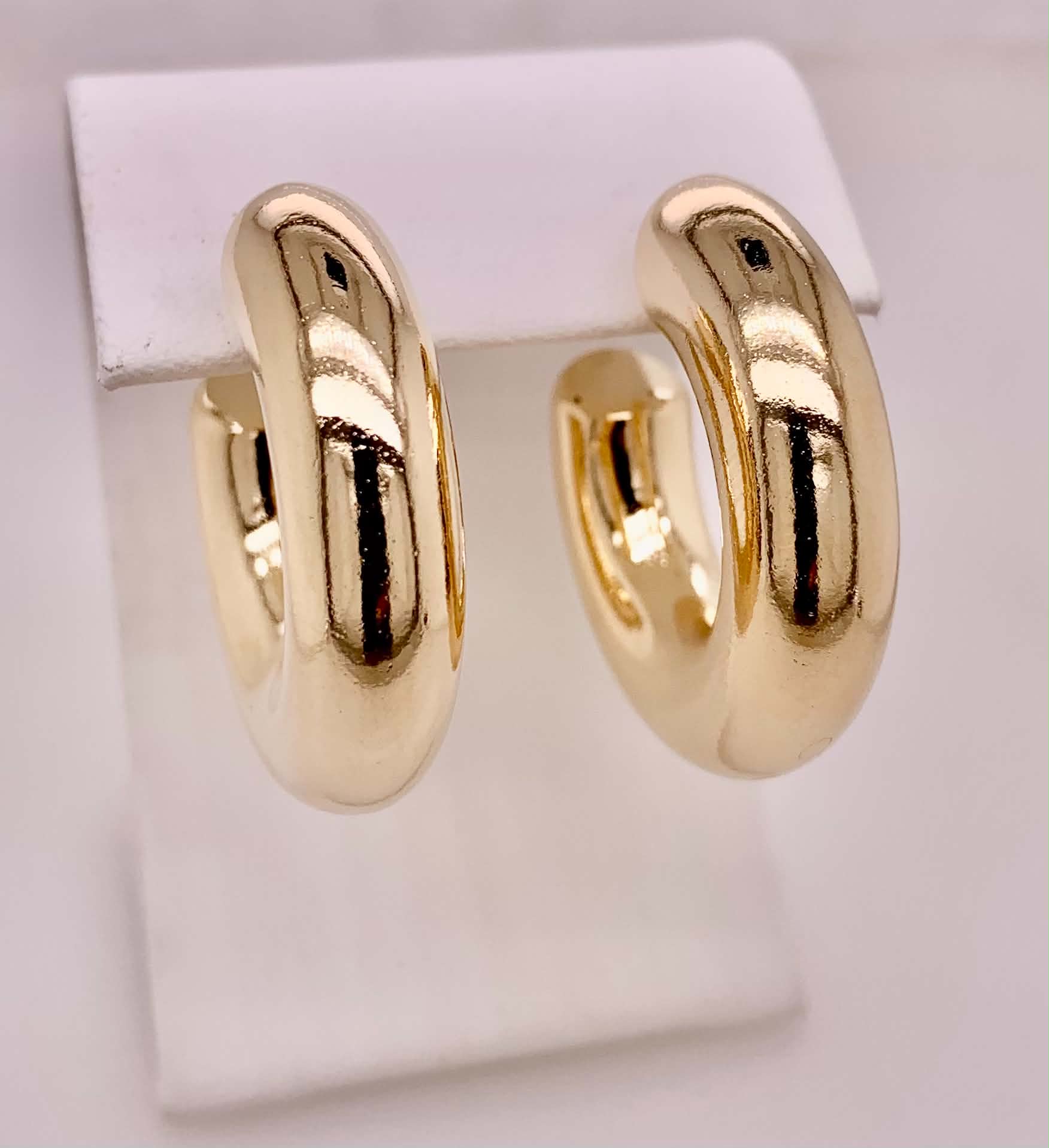 Gold Filled Hoop Earrings