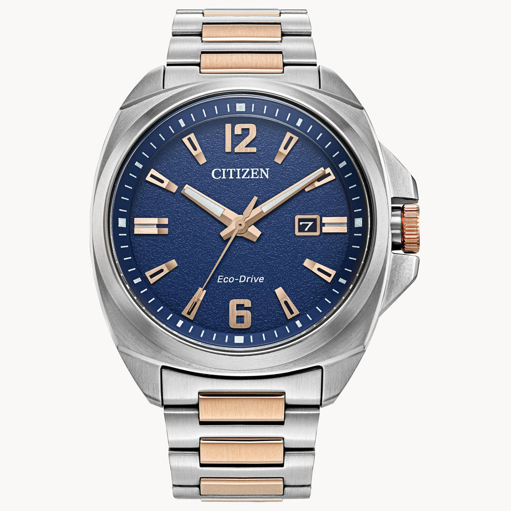 Men's Endicott Citizen Watch