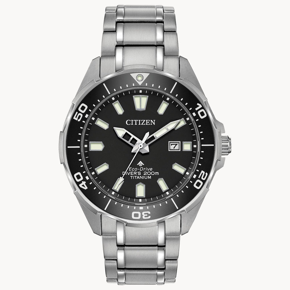 Citizen Promaster Dive Watch
